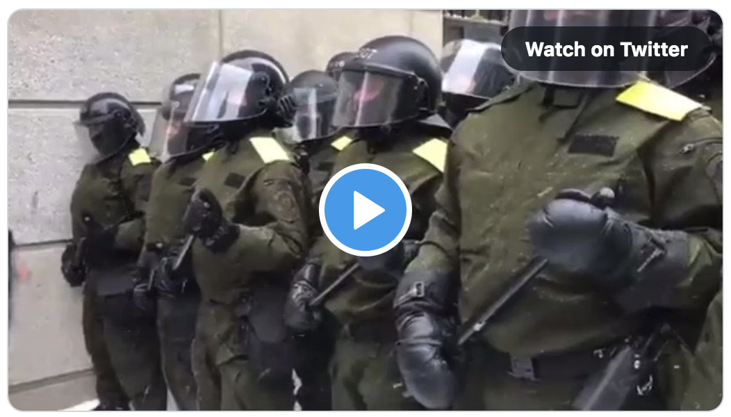 Ottawa : ces policiers sans numéro d’identification sont prêts à tabasser les manifestants du Convoi de la liberté (VIDÉO)