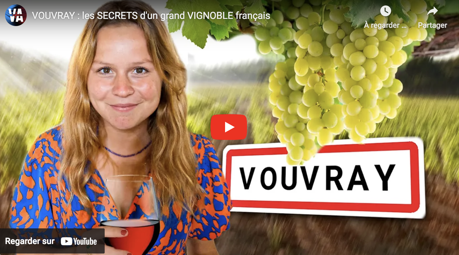 Vouvray : les secrets d’un grand vignoble français (REPORTAGE)